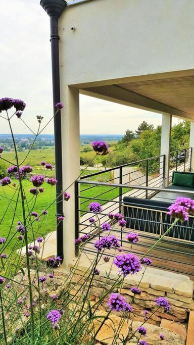 La Maison De L'Ecu : Charme Et Vue Incroyable 博讷 外观 照片