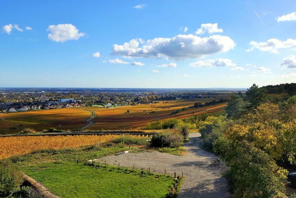 La Maison De L'Ecu : Charme Et Vue Incroyable 博讷 外观 照片