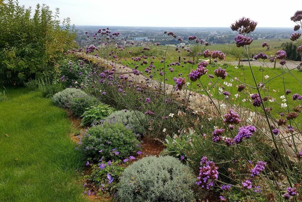 La Maison De L'Ecu : Charme Et Vue Incroyable 博讷 外观 照片
